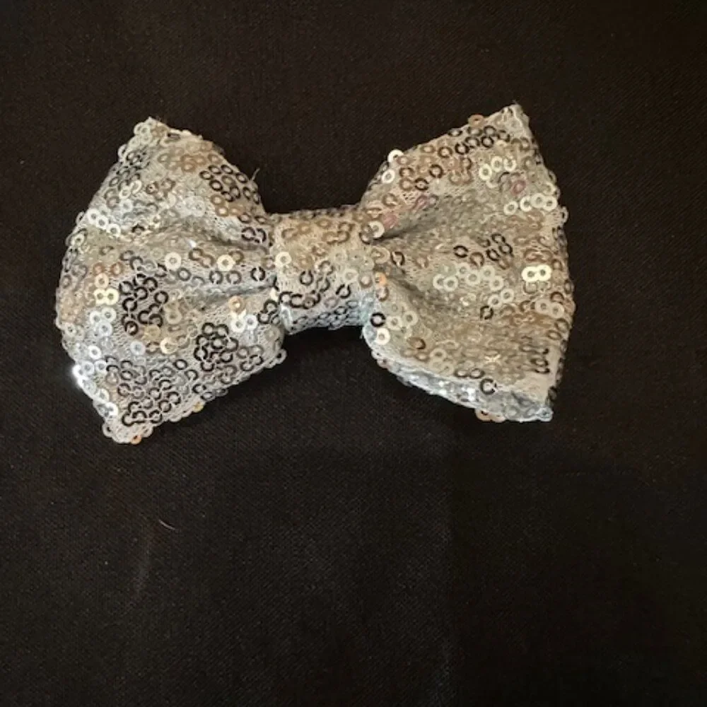 Silver Sequin 4